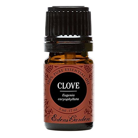 Clove 100% Pure Therapeutic Grade Essential Oil by Edens Garden- 5 ml