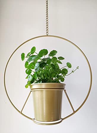 RISEON Boho Gold Metal Plant Hanger,Metal Round Hanging Planter, Modern Planter, Mid Century Plant Holder, Minimalist Planter for Indoor Outdoor Decor