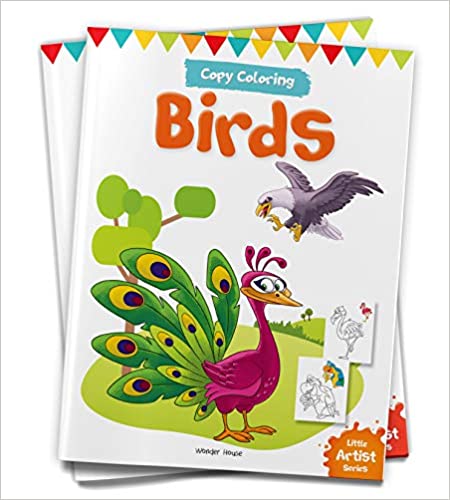 Little Artist Series Birds: Copy Colour Books