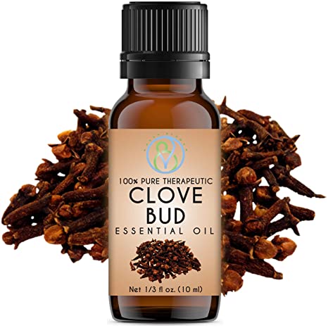 Clove Bud Essential Oil 10 ml 100% Pure & Natural Therapeutic Grade Undiluted