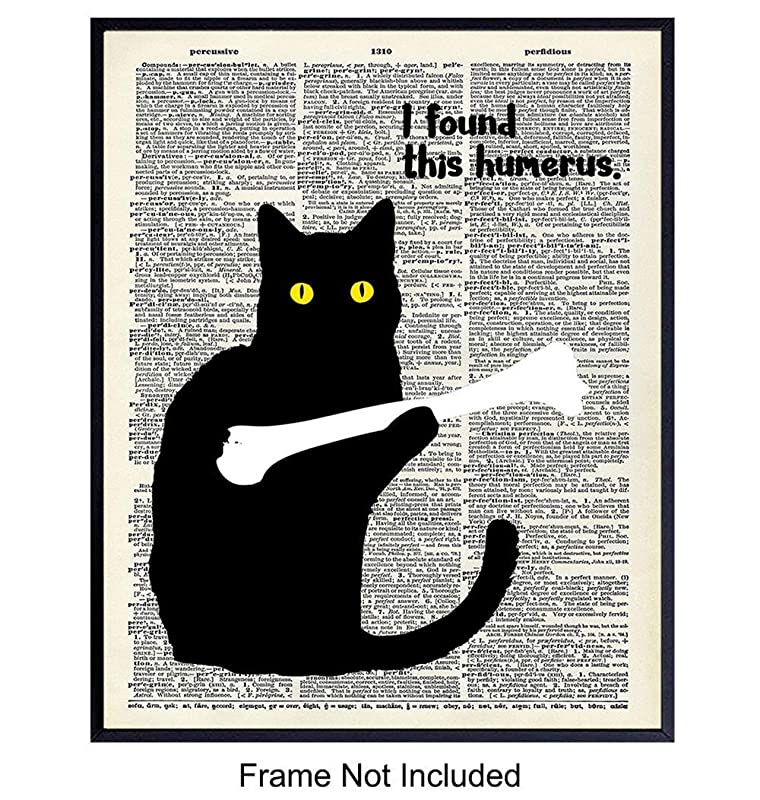 Cat Dictionary Art Print - 8x10 Gift for Kitty, Kitten, Cat Lover, Med Student, Doctor - Chic Vintage Home Decor, Wall Decoration for Clinic, Dr Office - Funny Unframed Poster - I Found This Humerus