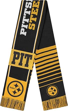 FOCO NFL unisex-adult Nfl Team Logo Reversible Thematic Scarf