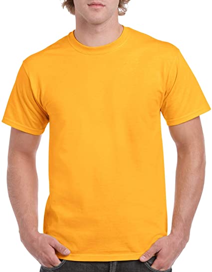 Heavy Cotton 100% Cotton Tshirt (G500)