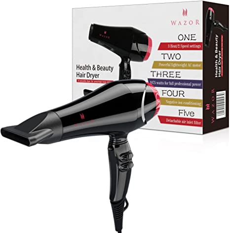 Professional Negative Ionic Hair Dryer, 1875W Salon Lightweight Blow Dryer with Pro AC Motor, Fast Dryer with Concentrator Nozzle and 2 Speed & 3 Heat Settings, Black