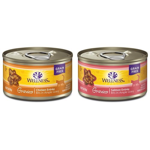 Wellness Natural Grain Free Wet Canned Cat Food