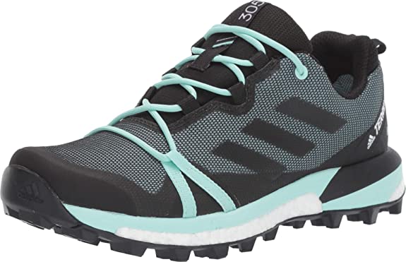 adidas outdoor Women's Terrex Skychaser Lt GTX Walking Shoe