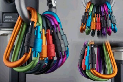 jiusheng 5Pcs Aluminum Carabiner D-ring Key Chain Clip Hook-- Random Color Home, RV, Camping, Fishing, Hiking, Traveling and Keychain