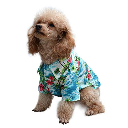 EXPAWLORER Hawaiian Pet Dog Polo T Shirts Cute for Small to Medium Puppy Cats Cool Summer Custom Vest