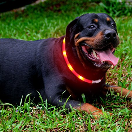 LED Dog Collar Light Up Night Safety Collar USB Rechargeable Waterproof for Outdoor Adjustable One Size Fits All