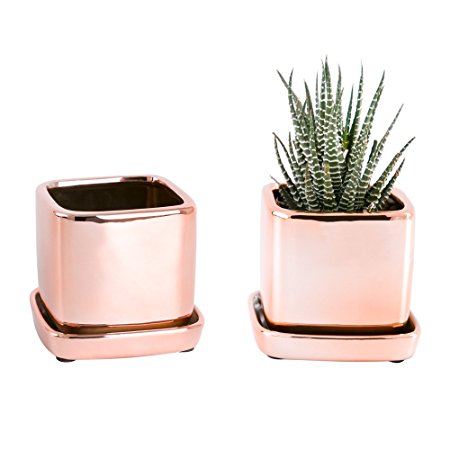 Mkono 2 Pack Modern Cactus Succulent Pot 3 1/2 Inch Ceramic Planter with Saucer, Rose Gold