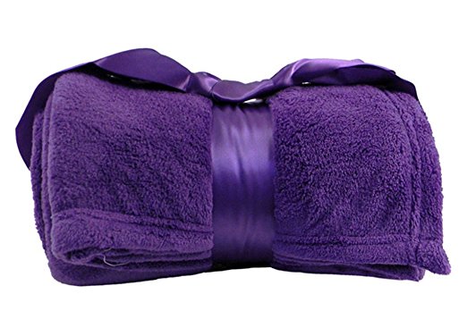 All Seasons Soft Plush Fleece Air Conditioning Throw Blanket 42"x 60", Purple