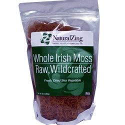 Irish Moss, Fresh (Raw, Wildcrafted) 16 oz