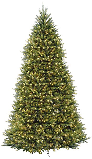 National Tree 10-Feet Dunhill Fir Tree, Hinged, 1200 Clear Lights (DUH-100LO-S)