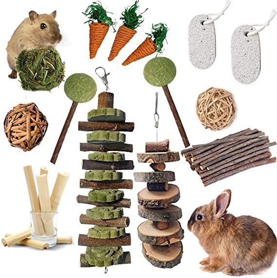 kathson 14 Pcs Bunny Chew Toys for Teeth Grinding,Guinea Pig Toys Natural Apple Wood Branches Small Animal Play Ball Carrot Toy for Rabbits Chinchilla Guinea Pigs Gerbils