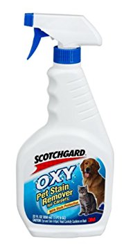 Scotchgard Oxy Pet Stain Carpet Cleaner,  22 Ounces