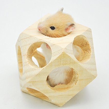 Niteangel Wooden Interactive Toy Ball for Small Animals, Chew toy for Hamsters, Guinea pigs and Rabbits