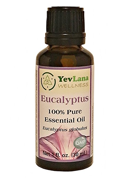 YevLana Wellness Multi-Use Eucalyptus Essential Oil Simple Therapeutic Holistic High Quality 100% Pure Natural in Glass, 30ml, 1 oz