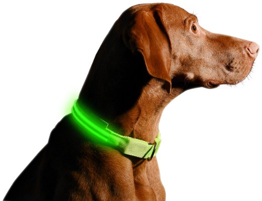 LED Dog Collar, USB Rechargeable