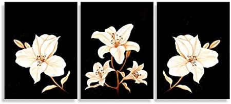 Sweety Decor Triptych Prints Artwork White Lilies Flower Black Background Paintings - Abstract Canvas Wall Art Living Room Decor 3 Panel (Black, S)