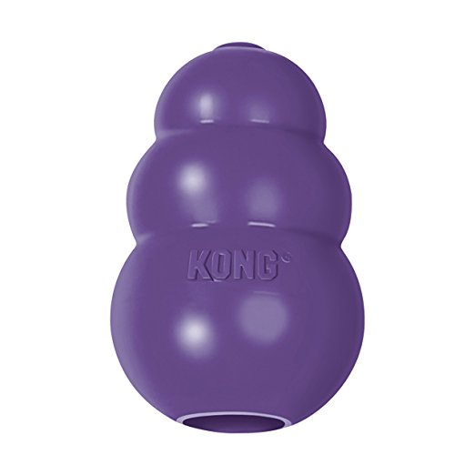 KONG Senior KONG Dog Toy, Purple