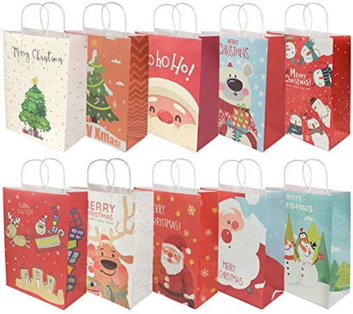 RIOGOO 10 PCS Gift Bags, Retail Bags Paper Party Bags Kraft Bag with Handle for Birthday, Tea Party, Wedding