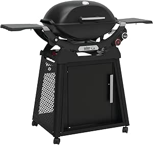 Weber Q 2800N  Liquid Propane Grill with Stand, Midnight Black