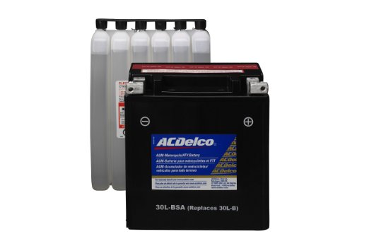 ACDelco ATX30LBSA AGM Powersports Battery