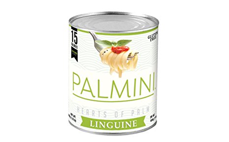 Palmini, 15 Calories, 3g of Carbs, Vegetable Pasta (1 lb Net)