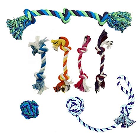 Puppy Rope Toys for Small Dogs | Ideal for Entertainment and High Active Puppies | Puppy Teething Toys | Knots Dog Toy for Smart Newborn Pet | Doggy Interactive Chew Mini Dental Pack of 7