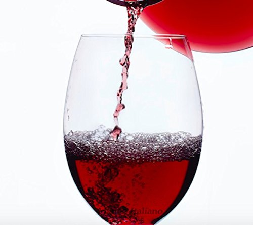 Plastic Wine Glasses - Break Proof Shatterproof Stemless Reusable - Set of 6