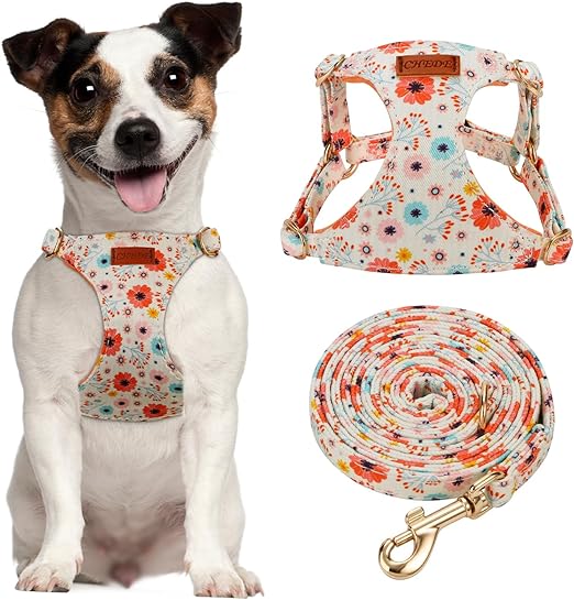 No Pull Floral Pattern Dog Harness- Lightweight and Soft Dog Harness, Adjustable Small Dog Harness and Leash Set, with Dog Leash, Suitable for Puppy Small and Medium-Sized Dog