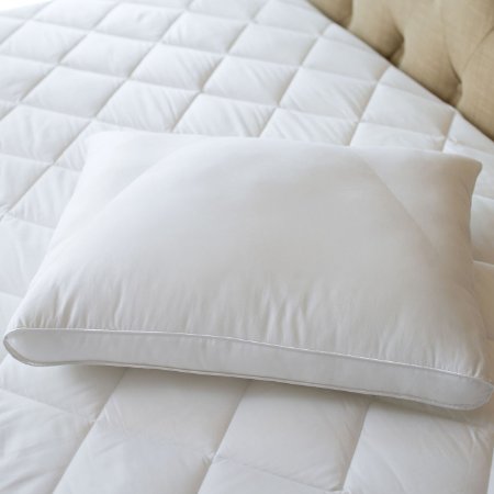 Sealy Posturepedic PostureFit Side Sleeper Pillow Size Standard
