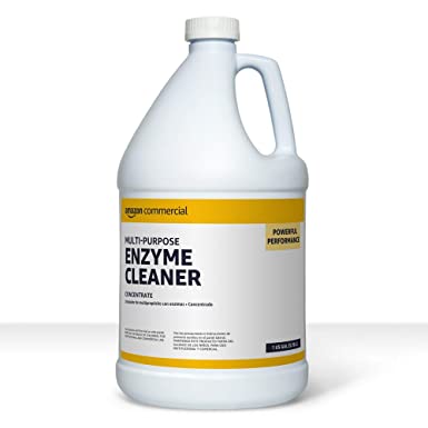 AmazonCommercial - 21 Multi-Purpose Enzyme Cleaner, 1-Gallon, 1-Pack