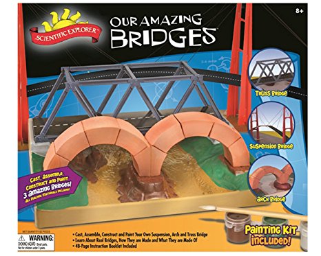Scientific Explorer Our Amazing Bridges Model Building Kit
