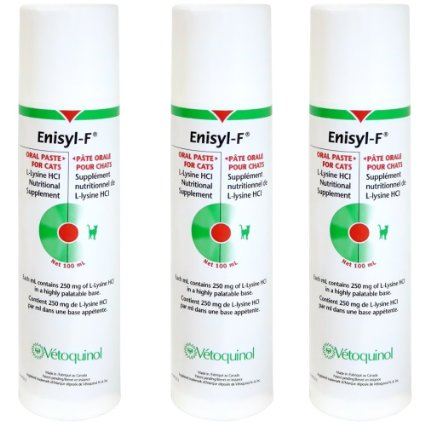 3 Pack 100 ml Enisyl-F Oral Paste for Cats (300 ml Total)