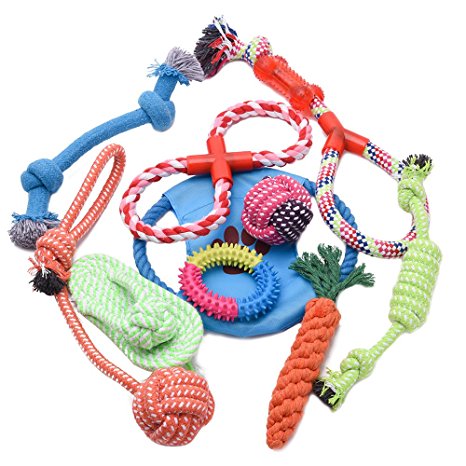WOLFWILL 10Pcs Dog Rope Toys Set - Variety Pet Puppy Chew Toys for Small to Medium Doggie