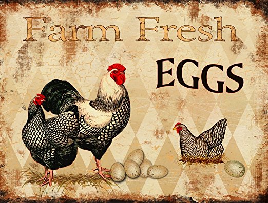 Barnyard Designs Farm Fresh Eggs Retro Vintage Tin Bar Sign Country Home Decor 13" x 10"