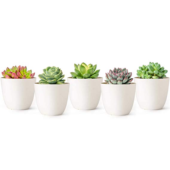 Mkono 4.5 Inch Plastic Planters Indoor Set of 5 Flower Plant Pots Modern Decorative Gardening Pot with Drainage for All House Plants, Succulents, Flowers, Herbs, and Seeding Nursery, Cream White