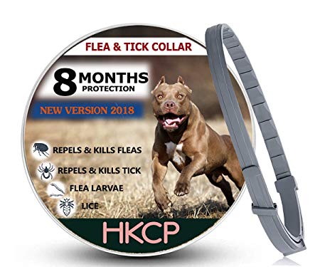 HKCP NEW VISION 2018 Flea and Tick Collar For Dog and Cat - 8 months protection ALLERGY-FREE Medicine-Waterproof flea tick collar