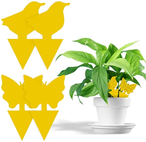 Fullsexy 60Pcs plug-in fly trap animal pattern Ideal yellow plates for potted plants against mosquitoes aphids, leaf flies, balcony, garden, interior