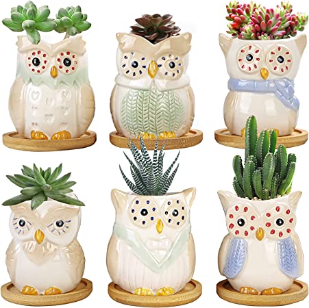YINUOWEI Succulent Pots with Drainage 3 Inch Mini Owl Pots for Plants Tiny Animal Planter Small Ceramic Air Plant Flower Pots Cactus Faux Planters Containers with Bamboo Tray Set of 6