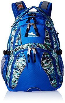 High Sierra Swerve Backpack