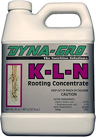 Dyna-Gro DYKLN032 Qt Rooting Concentrate, 1 Quart
