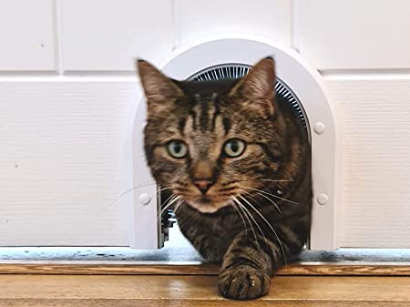 CATHOLE Cat Door ECO Model - Original Interior Cat Door, Installs Easily, Removable Grooming Brush … Now … Two Models