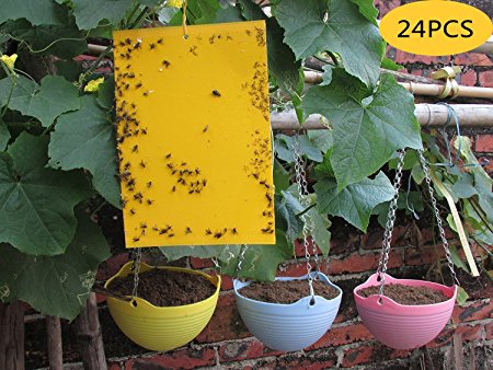 Anianiau High Efficiency Yellow Dual Sticky Trap Great For All Flies, Aphids and Mealybugs, Fungus Gnats, Garden Pest - 24 pcs