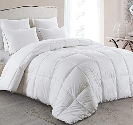 Basic Beyond All-Season Goose Down Comforter (Twin) - Warm Down Duvet Insert - Baffle Box, Soft Key Print Cotton Shell, Hypoallergenic, 100% Plush Goose Down Fill for Bed Comforter