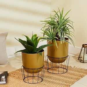 Amazon Brand - Solimo Metal Planter (Set of 2) | Classic Colour Combination with Black Metal Stands | Lightweight (Gold)