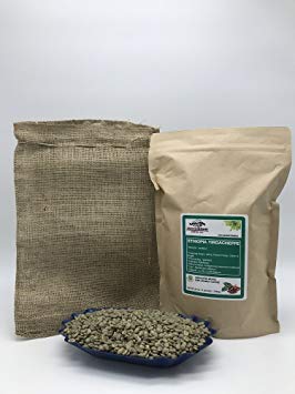 4 LBS – ETHIOPIA YIRGACHEFFE (in FREE BURLAP BAG) FRESH NEW-CROP Specialty-Grade Green Unroasted Coffee Beans- AFRICA – Varietal: Ethiopian Heirloom – Considered Finest of Ethiopian Coffees