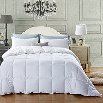 NEWLAKE White Down Alternative Comforter Twin Size, Box Stitched Protect Against Dust Mites and Allergens for Year Round