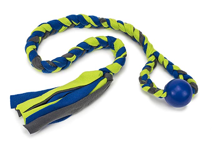 PetSafe Infini-Tug Dog Toy